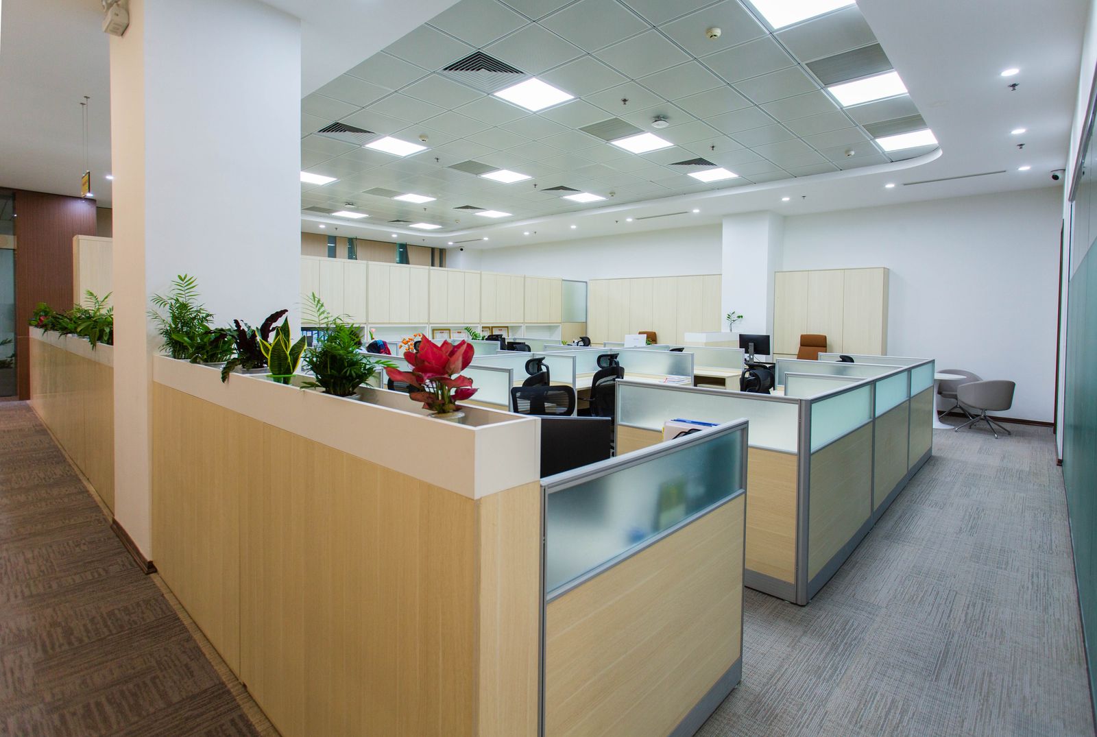 Open-plan office