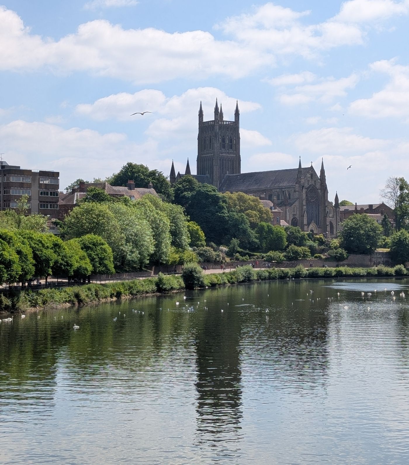 Worcester Cathedral and the Severn